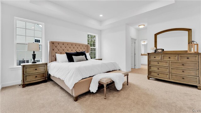 bedroom featuring a raised ceiling and light colored carpet