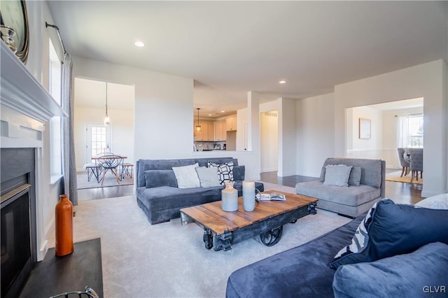 living room with dark hardwood / wood-style flooring