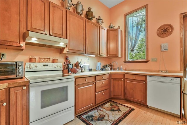 kitchen featuring light hardwood / wood-style floors, sink, a wealth of natural light, and white appliances