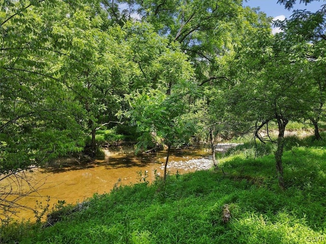 view of local wilderness with a water view