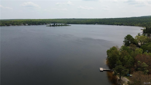 water view with a forest view