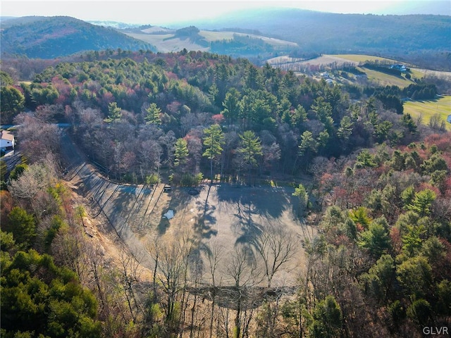 birds eye view of property with a mountain view