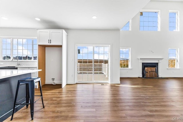 living room with dark wood-type flooring and sink