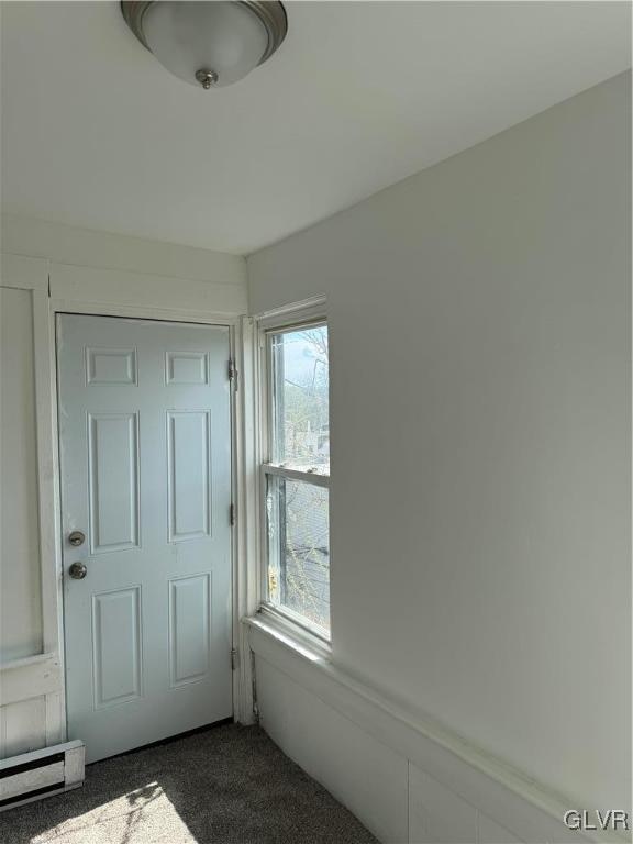 interior space featuring a baseboard radiator and plenty of natural light