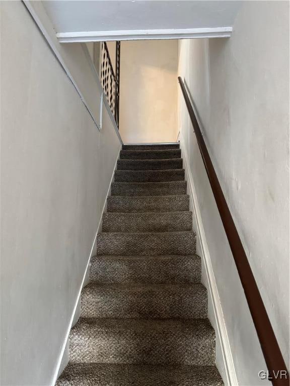 stairs with carpet floors