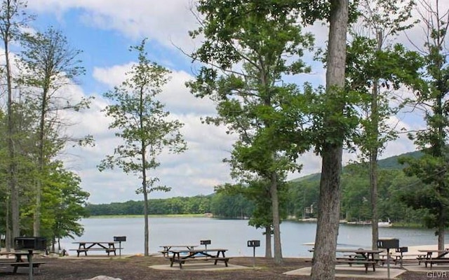 view of water feature with a boat dock