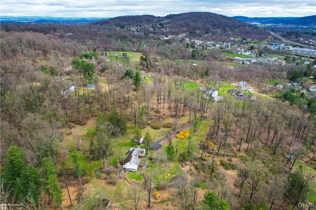 drone / aerial view featuring a mountain view