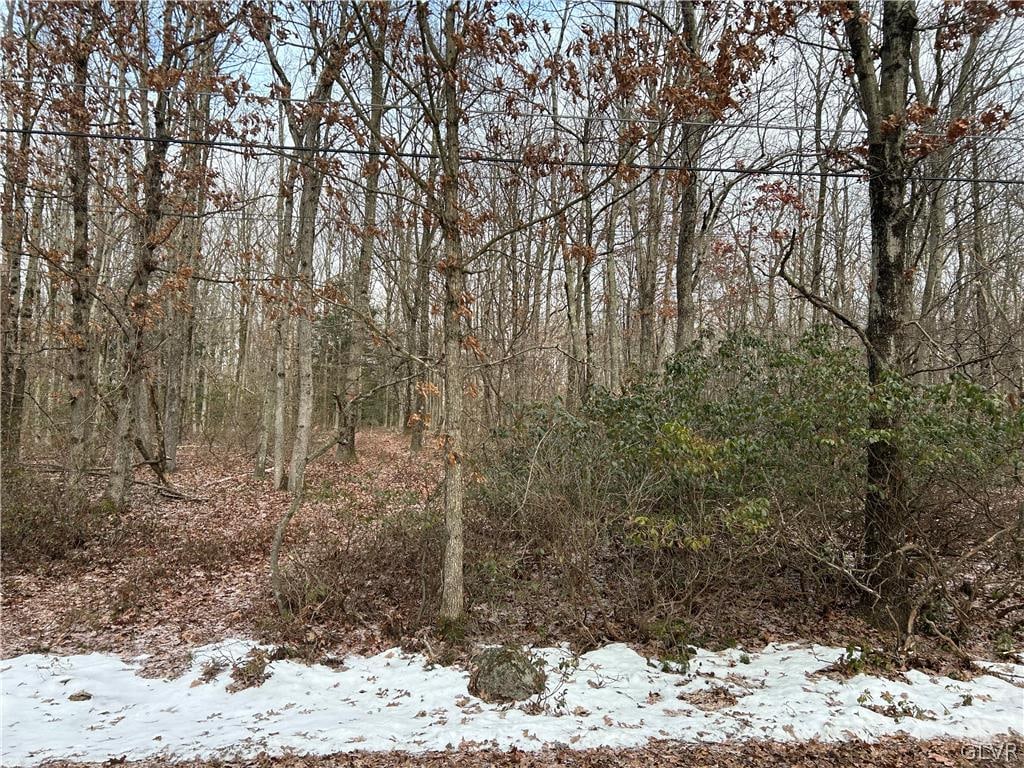 view of snow covered land