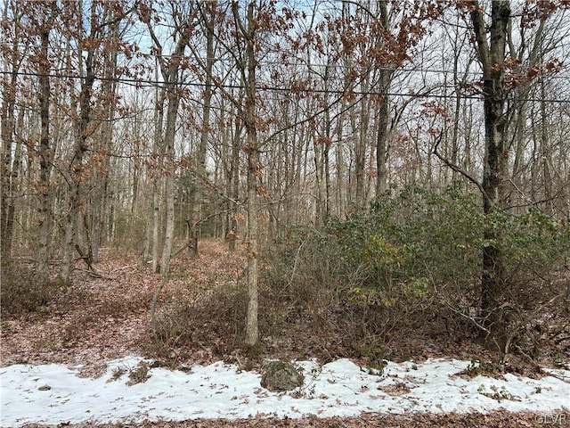 view of snow covered land