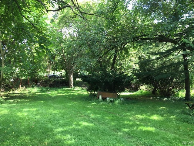 view of yard