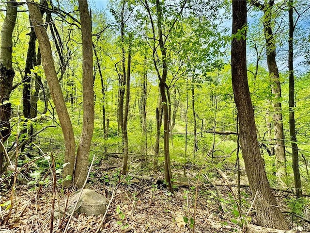 2580 Honeysuckle Rd, Salisbury Twp, PA 18015 - photo 1