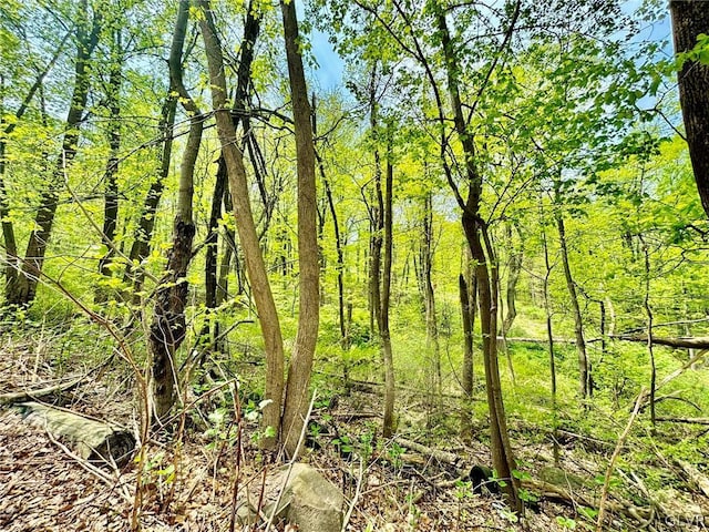 2580 Honeysuckle Rd, Salisbury Twp, PA 18015 - photo 4