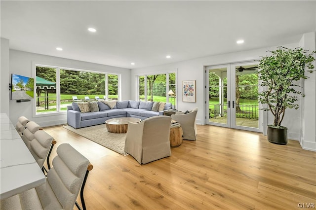 living room with light hardwood / wood-style flooring and french doors