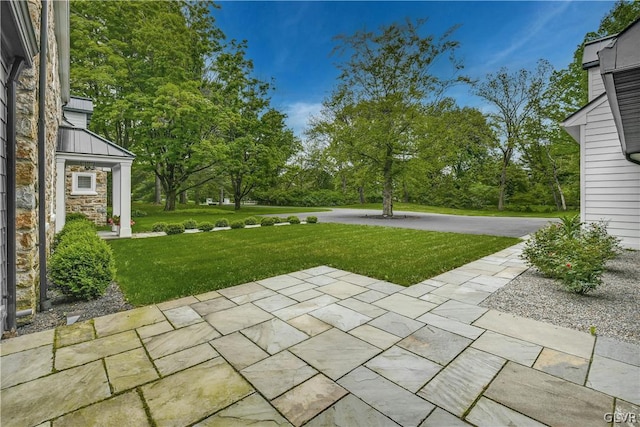 view of yard featuring a patio