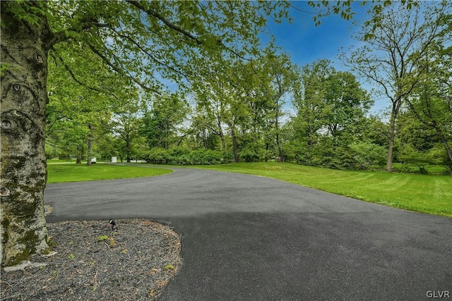 view of home's community featuring a yard