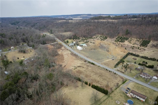 drone / aerial view featuring a rural view