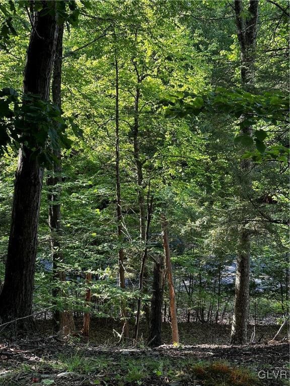 view of local wilderness