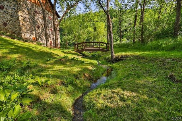 view of yard with a water view