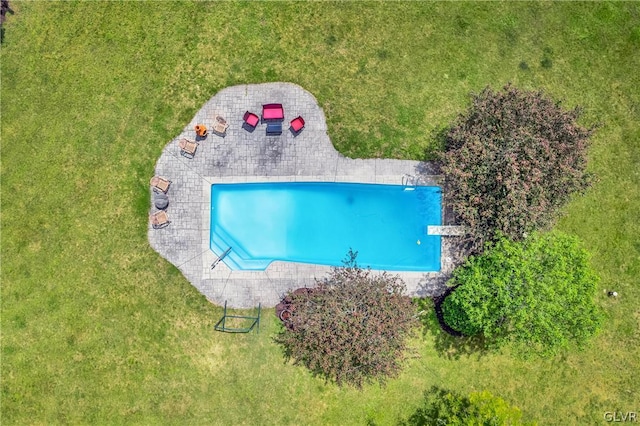 view of swimming pool with a lawn