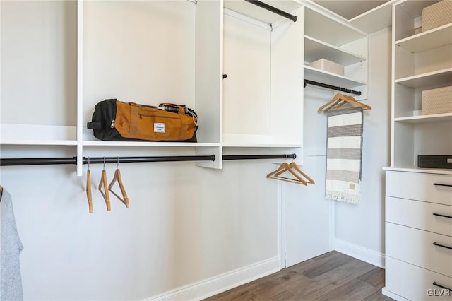 walk in closet featuring dark hardwood / wood-style flooring