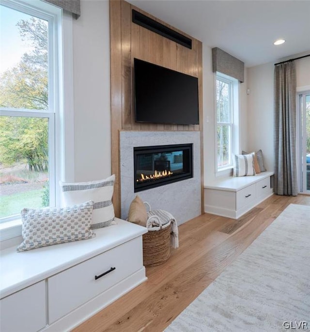 living room with light wood-type flooring