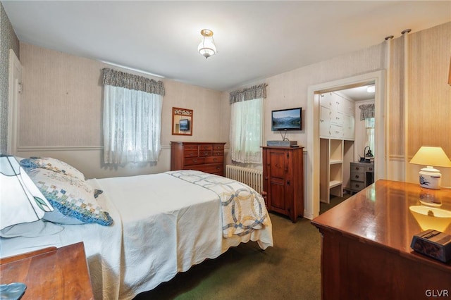 bedroom with radiator, multiple windows, and dark colored carpet