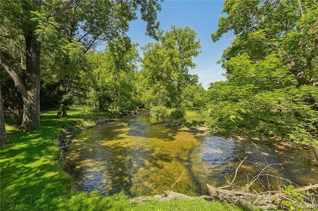 water view featuring a wooded view