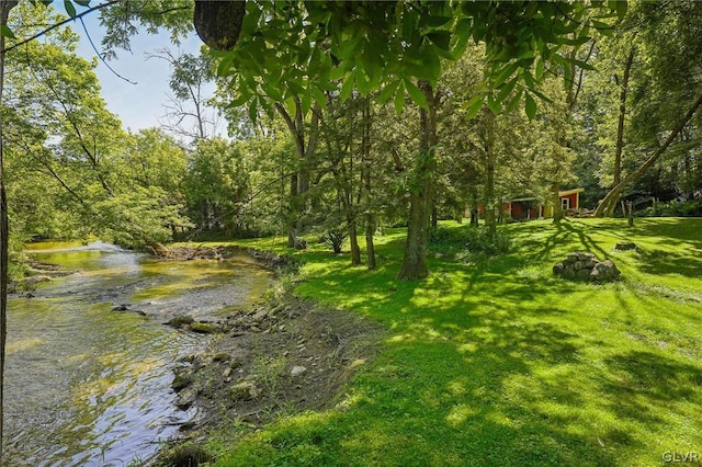 view of yard featuring a wooded view