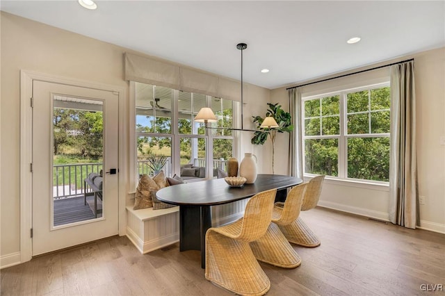 dining space featuring light hardwood / wood-style flooring and a healthy amount of sunlight