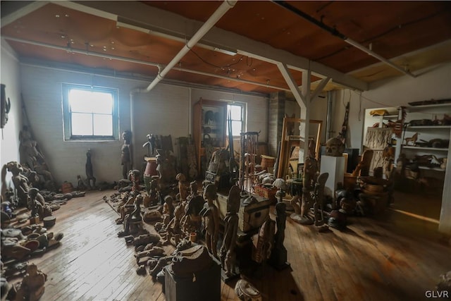 misc room featuring hardwood / wood-style flooring and a healthy amount of sunlight