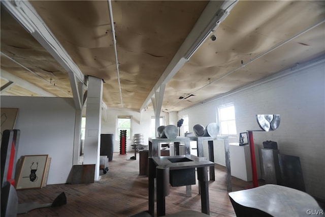 interior space featuring wood-type flooring and plenty of natural light