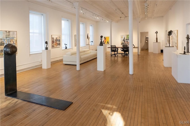 workout room with light wood finished floors, rail lighting, and a healthy amount of sunlight