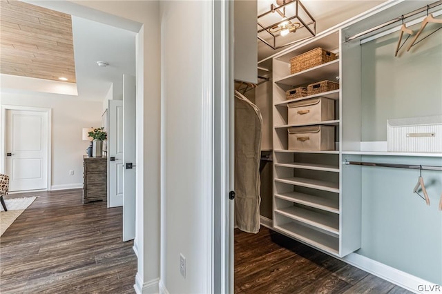 walk in closet with dark hardwood / wood-style flooring and a tray ceiling