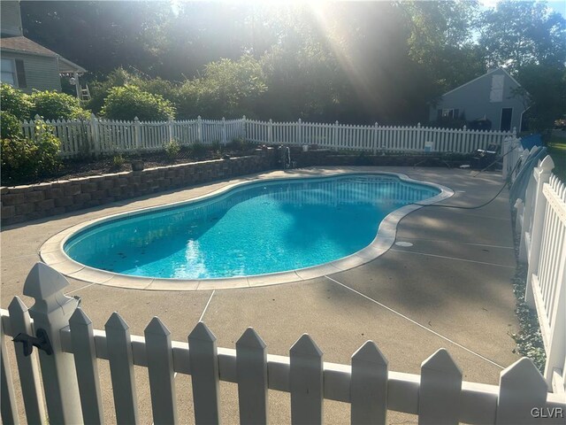 view of pool featuring a patio