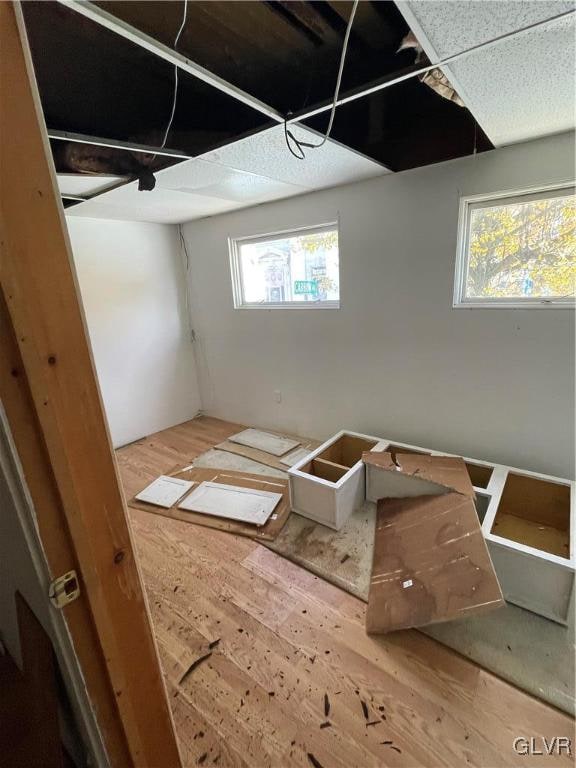 basement featuring hardwood / wood-style flooring