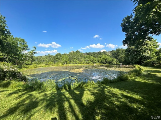 property view of water