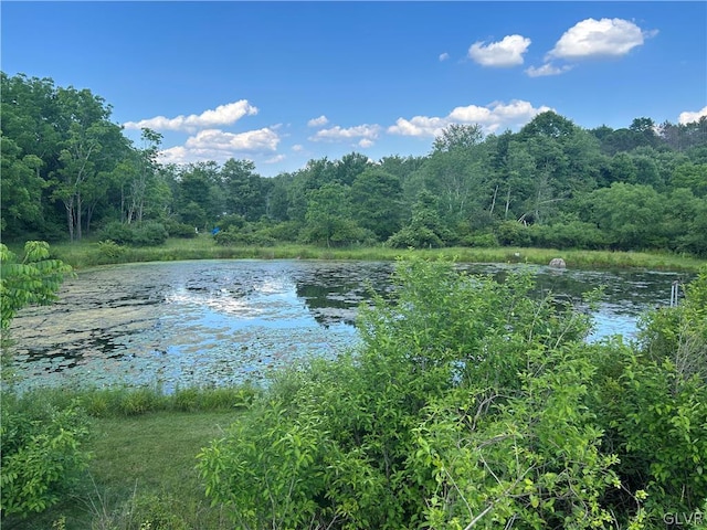 property view of water