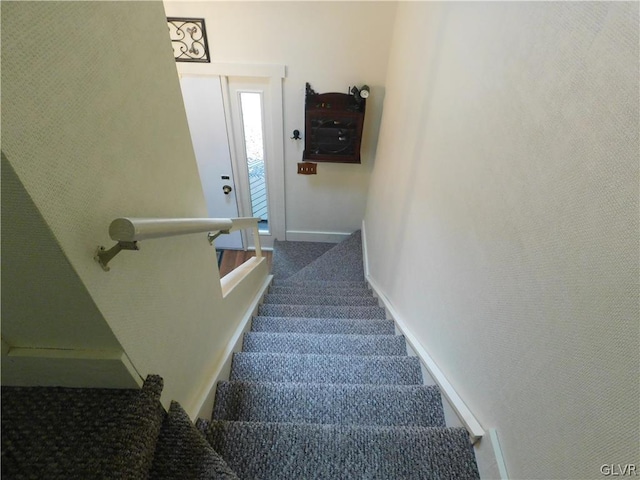 staircase featuring carpet