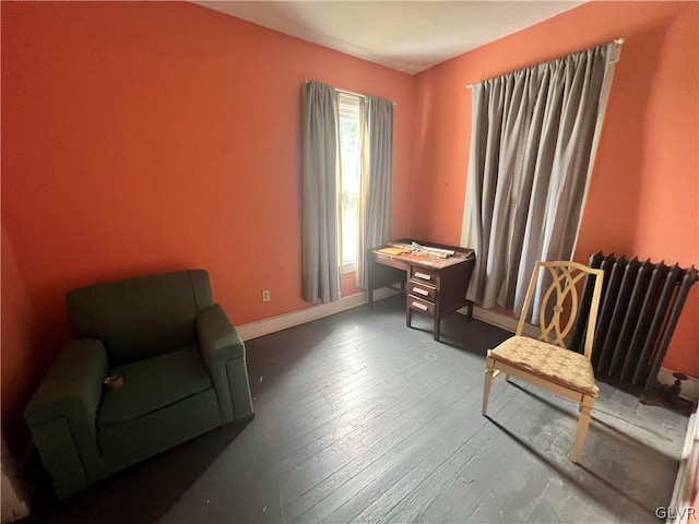 living area featuring wood-type flooring