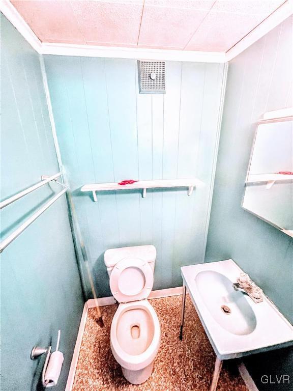 55 S Walnut St, Lansford Borough, PA 18232 - bathroom with visible vents and toilet