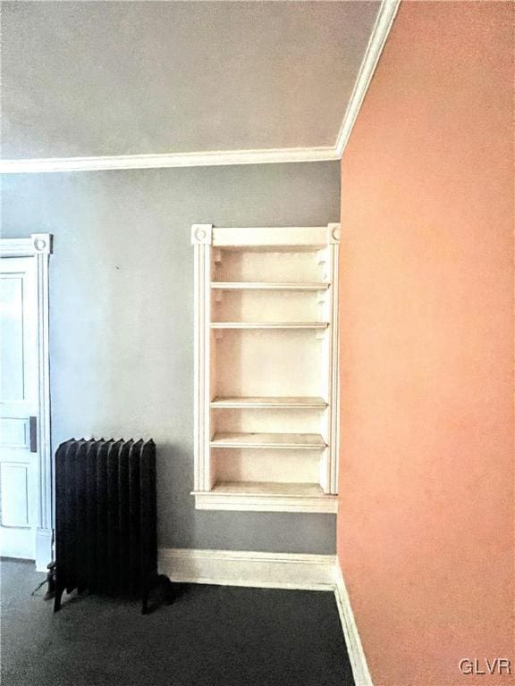 55 S Walnut St, Lansford Borough, PA 18232 - interior space with carpet floors and radiator heating unit