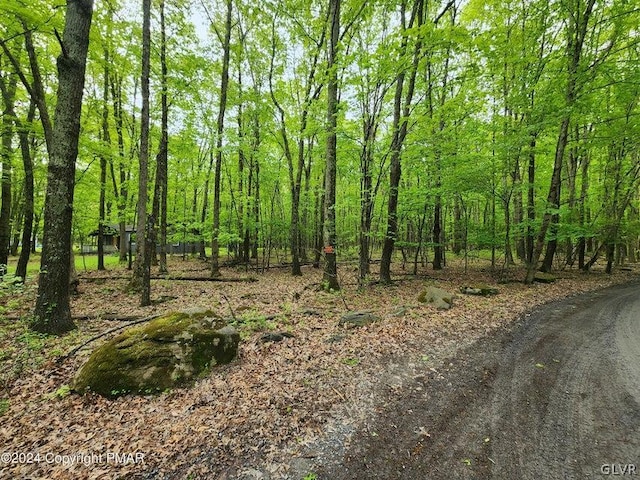 view of road