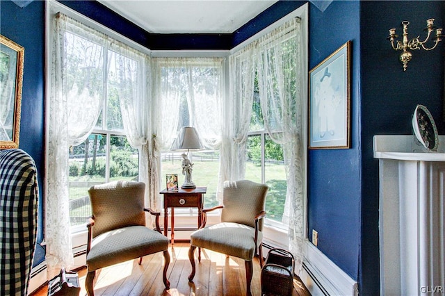 sitting room with wood-type flooring and a wealth of natural light