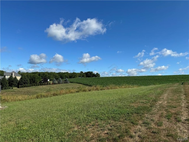 view of landscape with a rural view