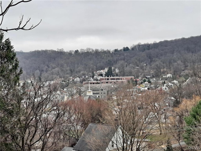 view of mountain feature