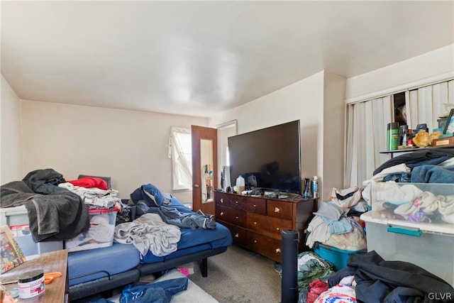 bedroom featuring carpet