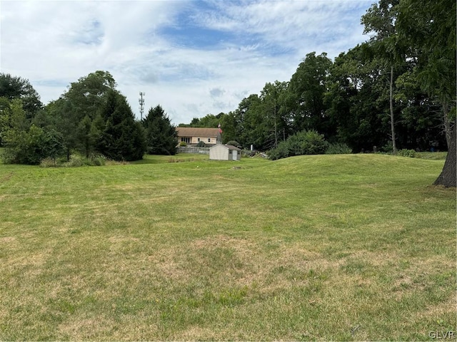 view of yard featuring a shed