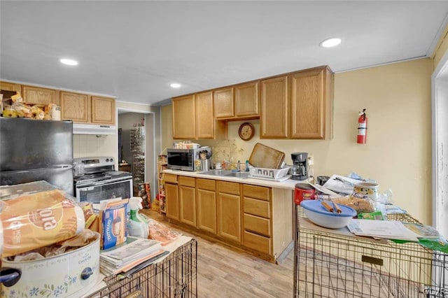 kitchen with light hardwood / wood-style flooring, appliances with stainless steel finishes, and sink