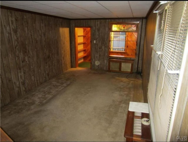 interior space featuring wooden walls