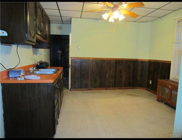 kitchen with ceiling fan, a drop ceiling, sink, and dark brown cabinetry